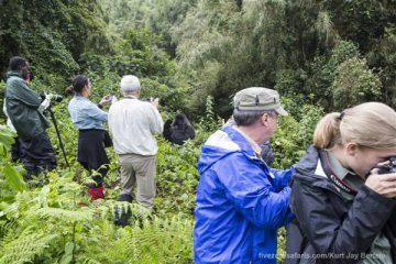 Gorilla Tour Trekking Safaris In Rwanda 2