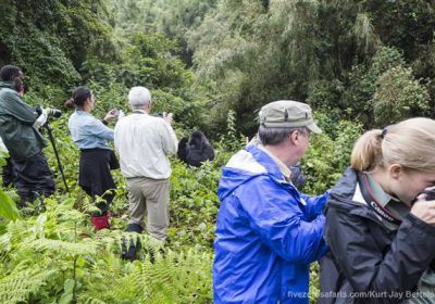 Gorilla Tour Trekking Safaris In Rwanda 2