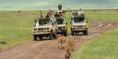 Rwanda Gorilla Tour Trekking Safari 1