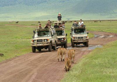 Rwanda Gorilla Tour Trekking Safari 1