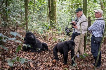 Uganda Rwanda Primate Tour Midrange Tour 1