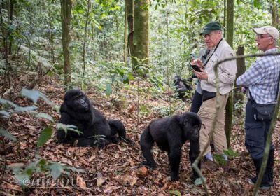 Uganda Rwanda Primate Tour Midrange Tour 1